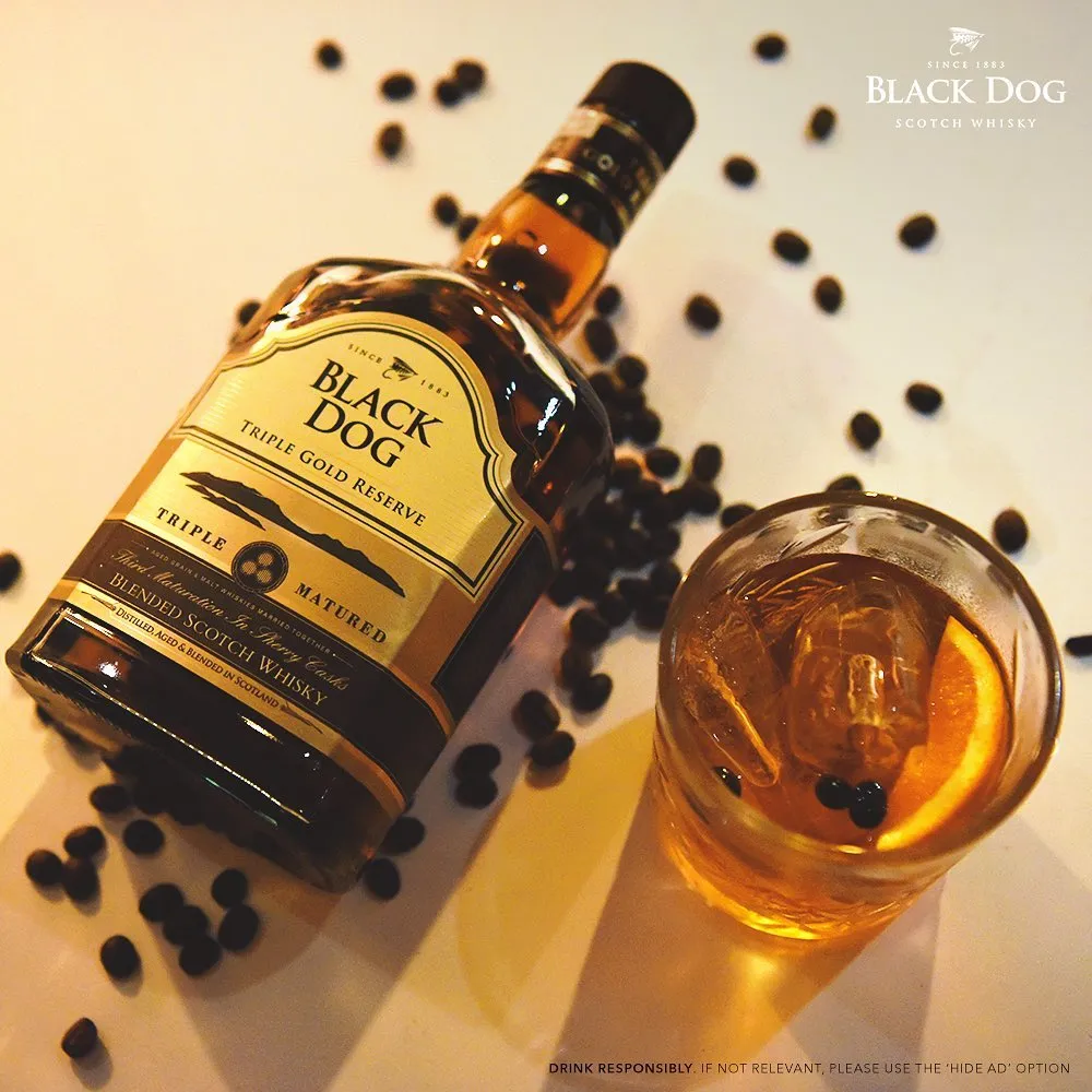Black Dog