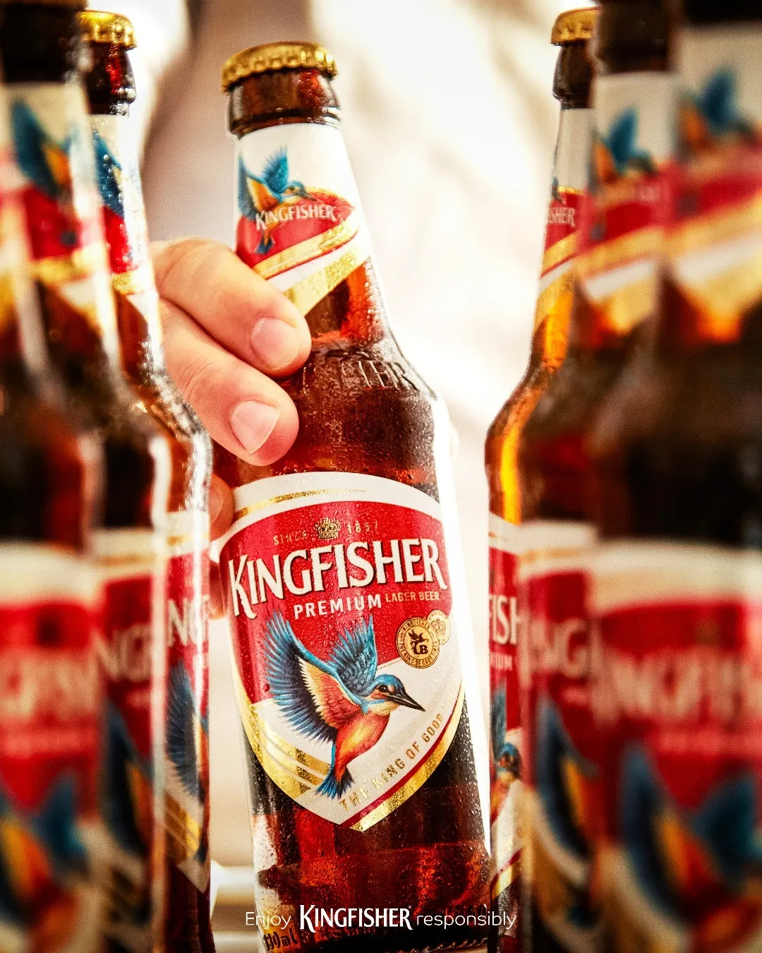 Kingfisher