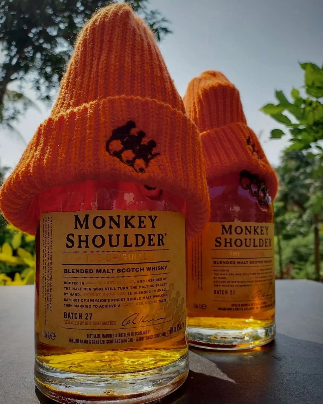 Monkey Shoulder