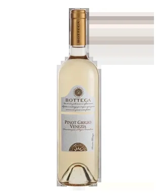 Bottega Pinot Grigio Delle Venezie