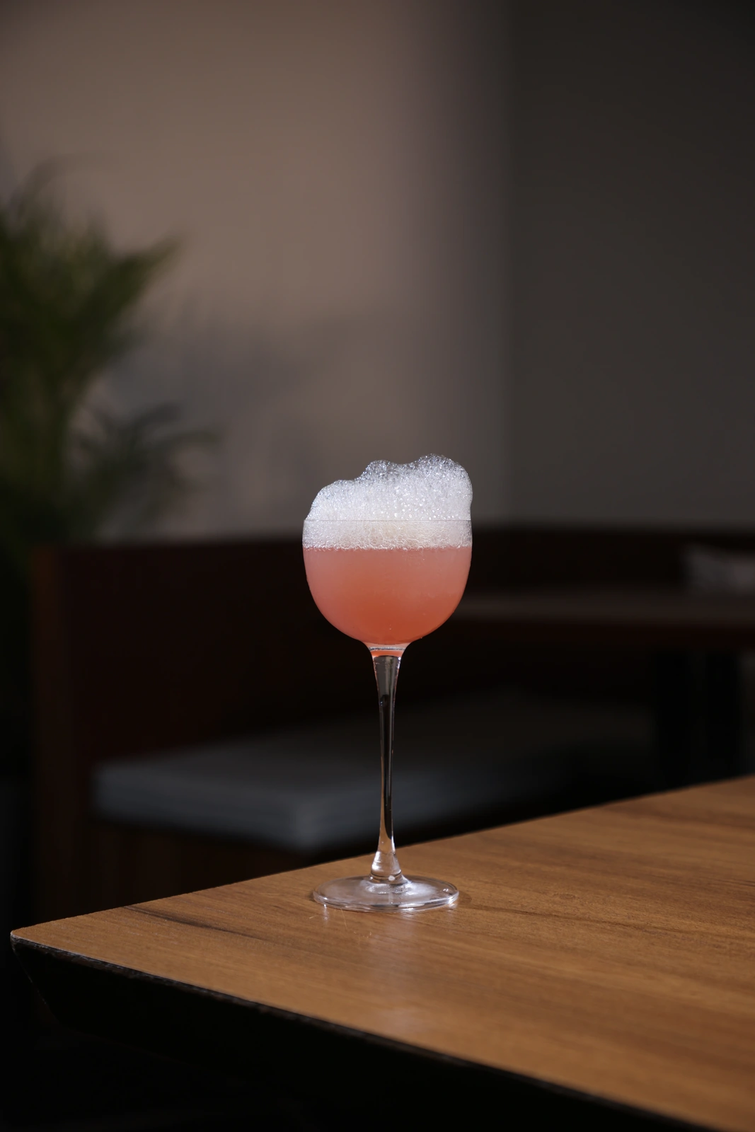 The Evolution at The Daily All Day Pune
