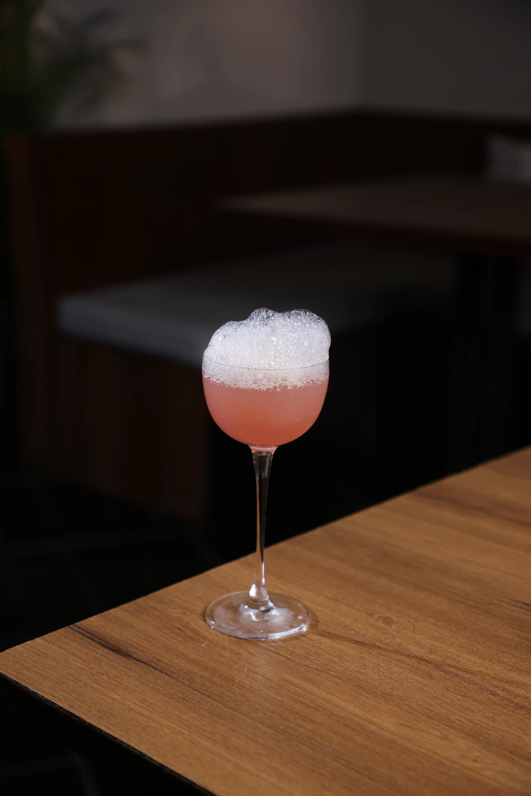 The Evolution at The Daily All Day Pune