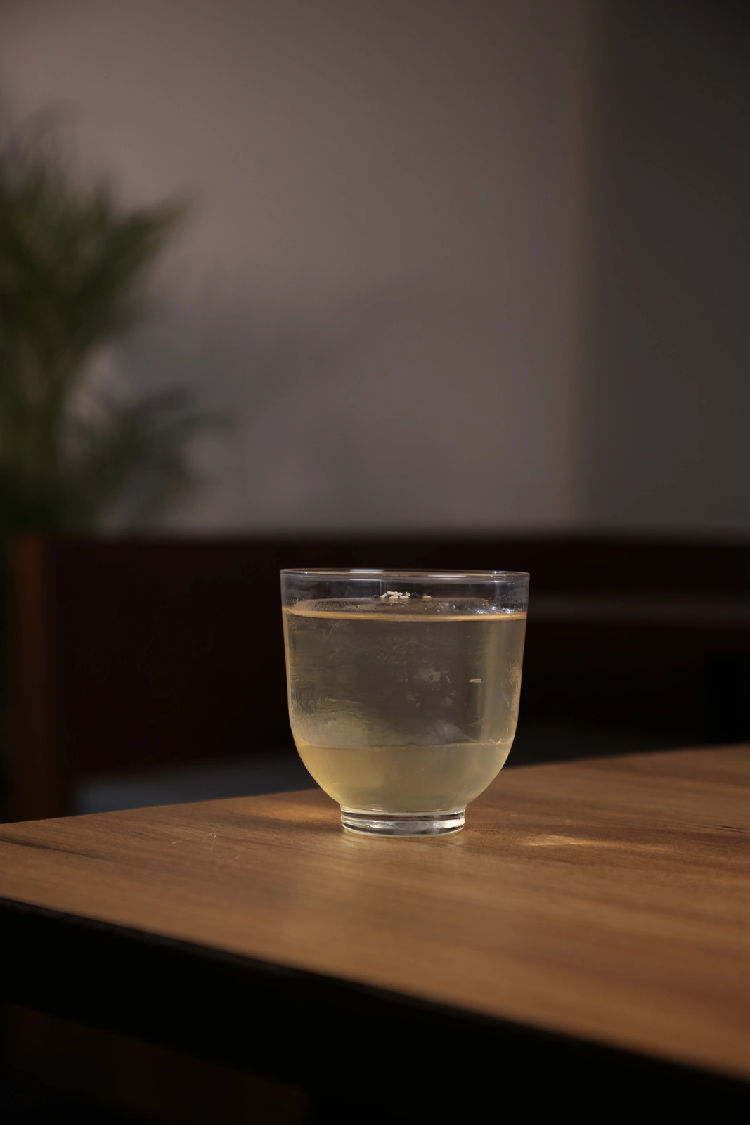 Sesamo at Tsuki