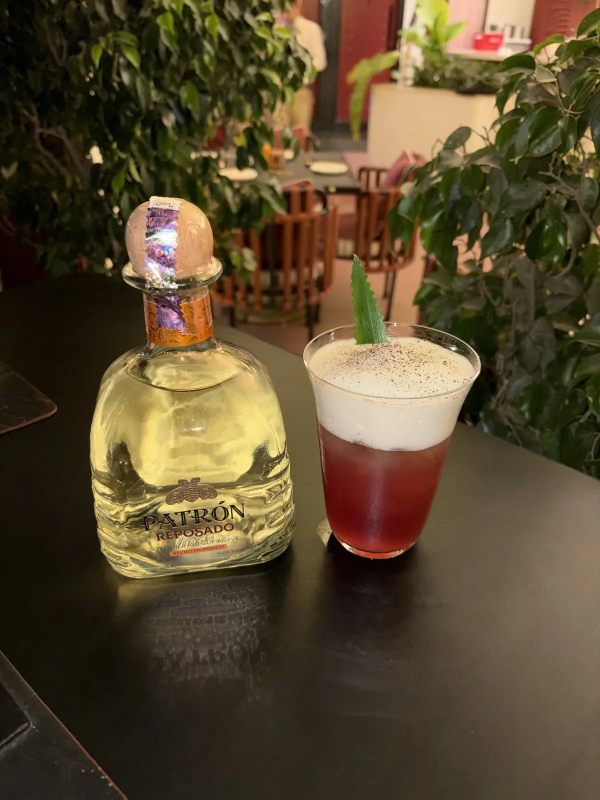 Renacer at Sangria, Udaipur